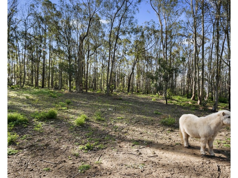 79 Ala Moana Road, East Kurrajong NSW 2758