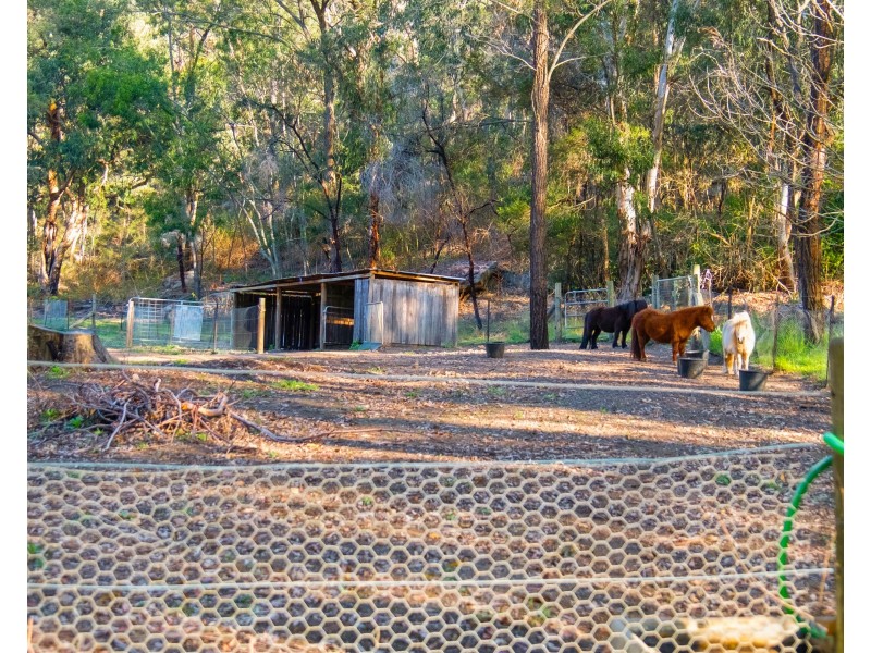 39 Jones Road, Lower Portland NSW 2756