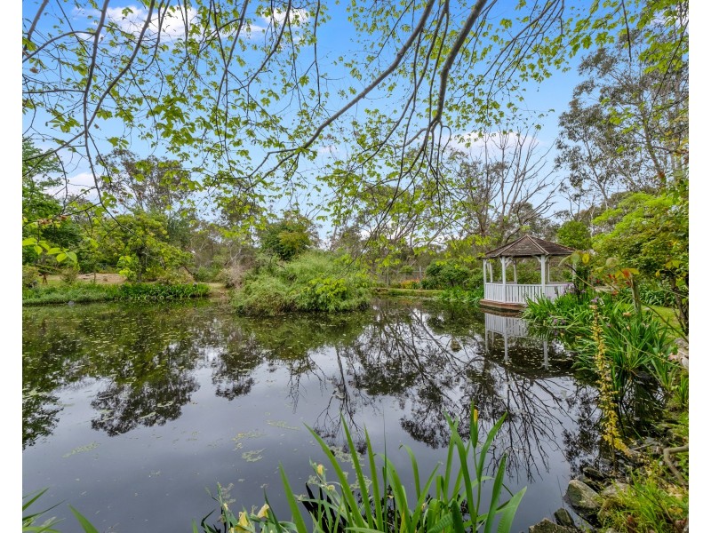 12 Burrawang Drive, Nelson NSW 2765