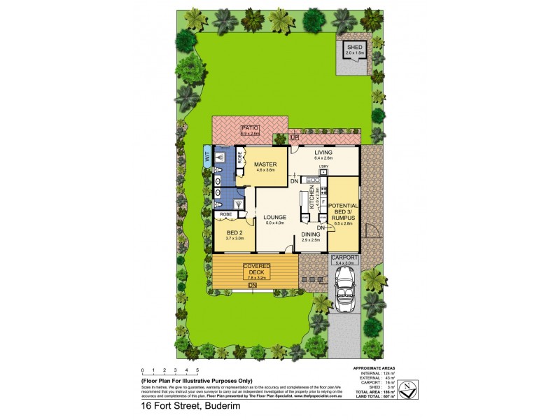 16 Fort Street, Buderim QLD 4556 Floorplan