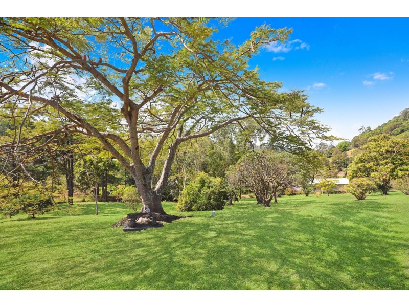 16 Nimbin Place, Maroochy River QLD 4561