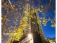 705/380 Little Lonsdale Street., Melbourne VIC 3000