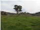 Lot 4 Five Mile Creek Road, Gundagai NSW 2722