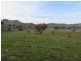 Lot 4 Five Mile Creek Road, Gundagai NSW 2722