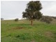 Lot 4 Five Mile Creek Road, Gundagai NSW 2722