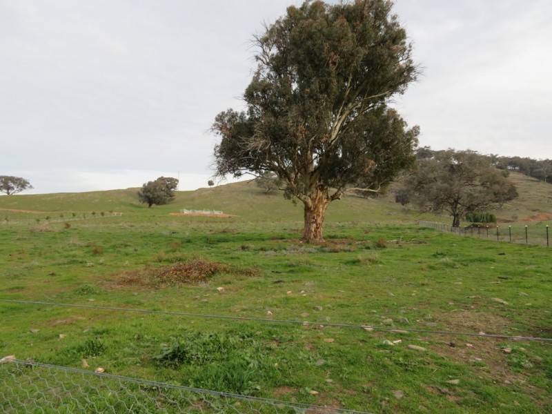 Lot 4 Five Mile Creek Road, Gundagai NSW 2722