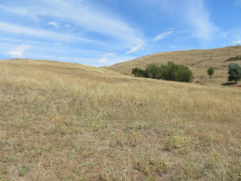 86 Jackalass Road,, Gundagai NSW 2722