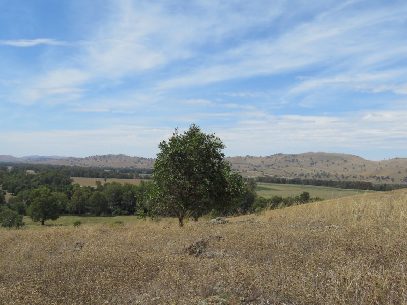 86 Jackalass Road,, Gundagai NSW 2722