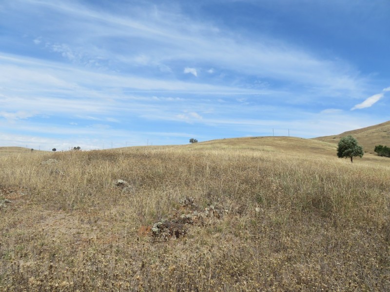 86 Jackalass Road,, Gundagai NSW 2722