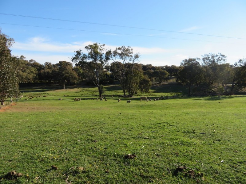 404 Reno Road, Gundagai NSW 2722