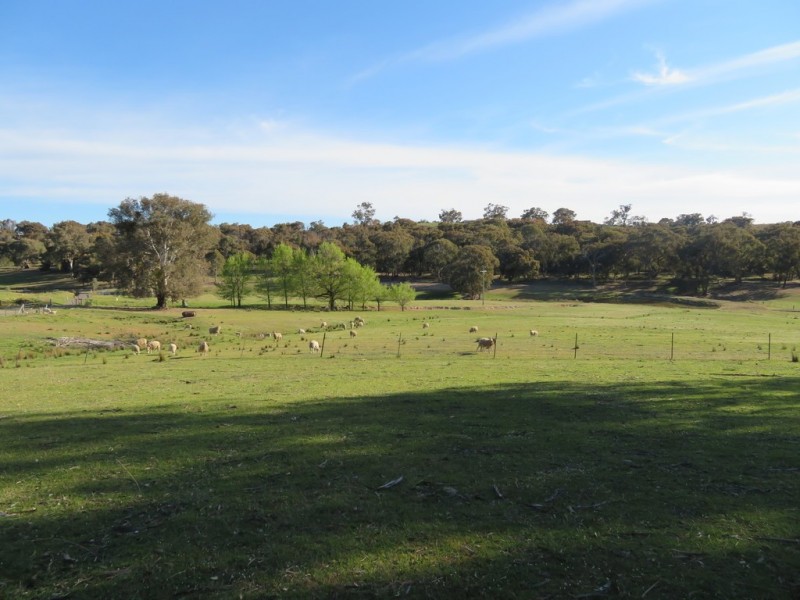 404 Reno Road, Gundagai NSW 2722