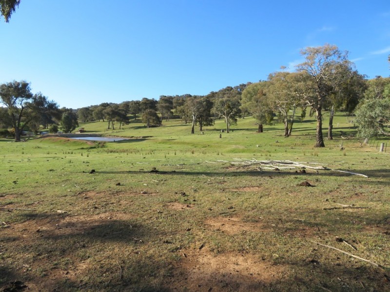 404 Reno Road, Gundagai NSW 2722