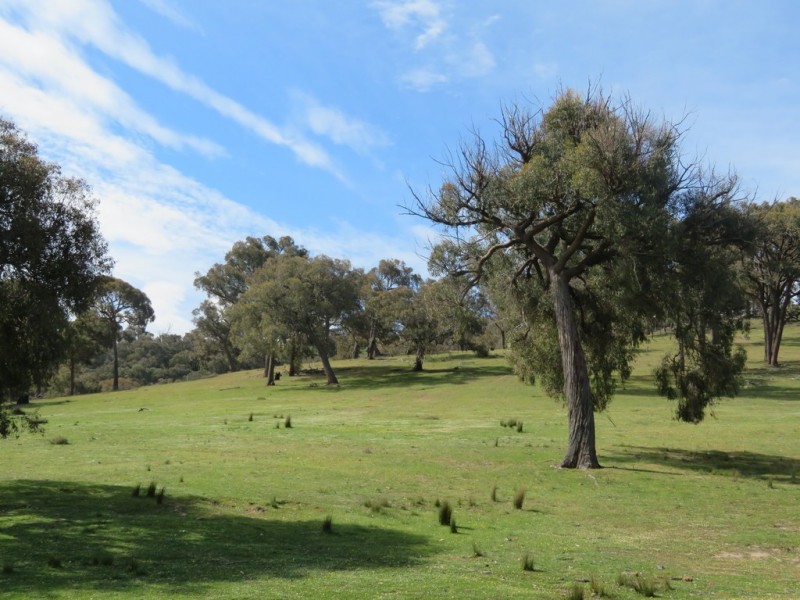 404 Reno Road, Gundagai NSW 2722