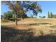 22 Tumut Street, Gundagai NSW 2722