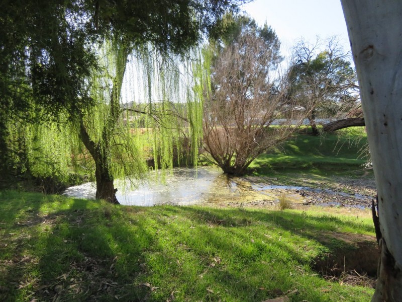 168 Punch Street, Gundagai NSW 2722