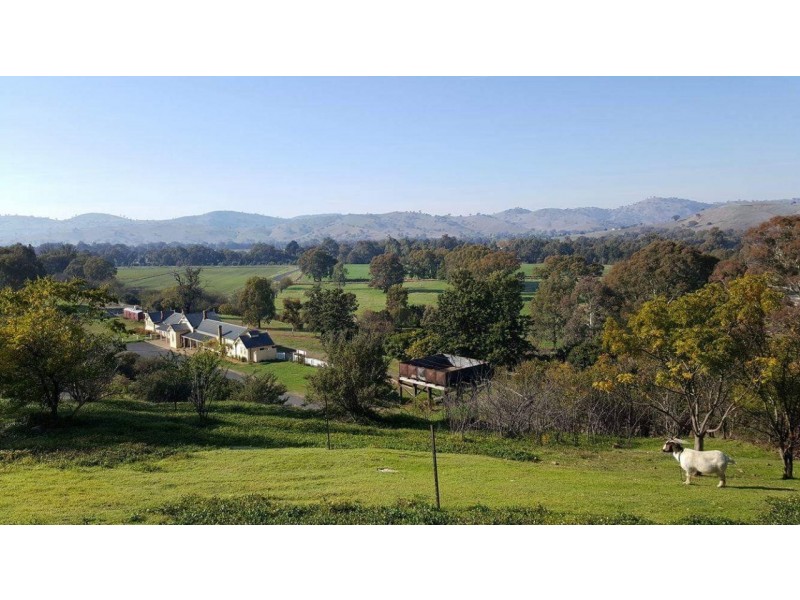 40 Punch Street, Gundagai NSW 2722