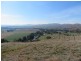 Lots 7 and 8 Springfield Lane, Gundagai NSW 2722