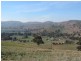 Lots 7 and 8 Springfield Lane, Gundagai NSW 2722