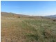 Lots 7 and 8 Springfield Lane, Gundagai NSW 2722