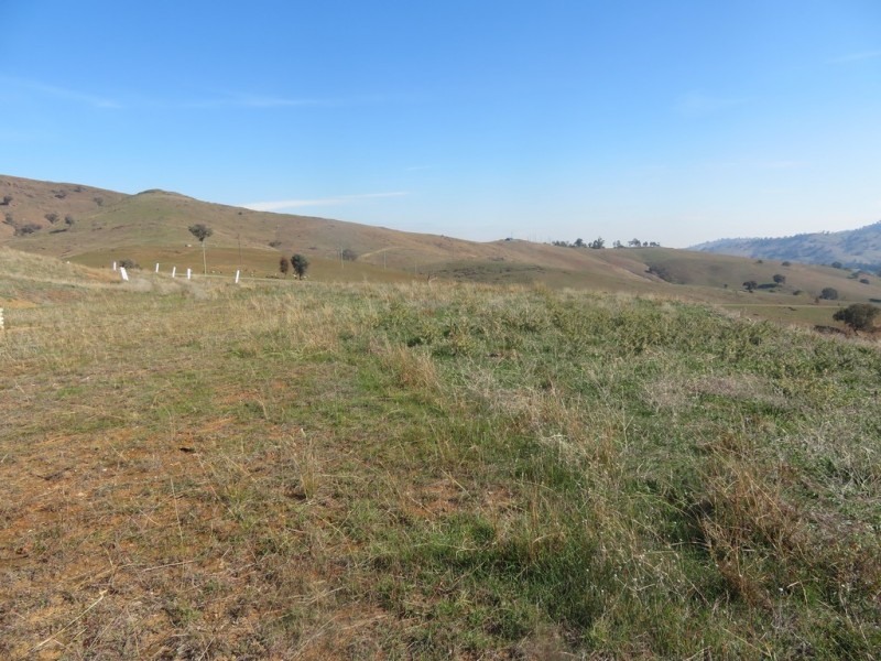Lots 7 and 8 Springfield Lane, Gundagai NSW 2722