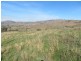 Lots 7 and 8 Springfield Lane, Gundagai NSW 2722