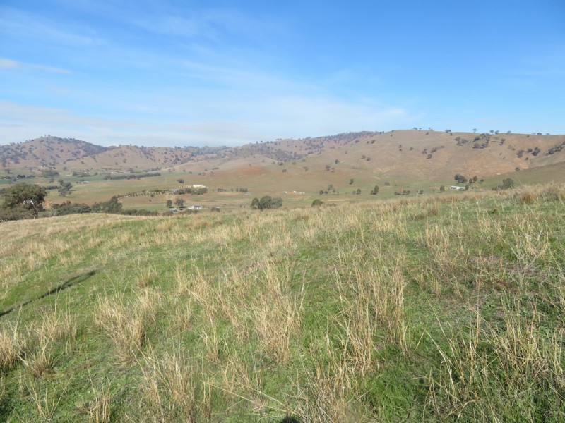 Lots 7 and 8 Springfield Lane, Gundagai NSW 2722