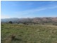 Lots 7 and 8 Springfield Lane, Gundagai NSW 2722