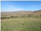 Lots 7 and 8 Springfield Lane, Gundagai NSW 2722