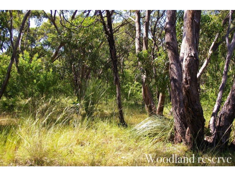 7 Gough Avenue, Chester Hill NSW 2162