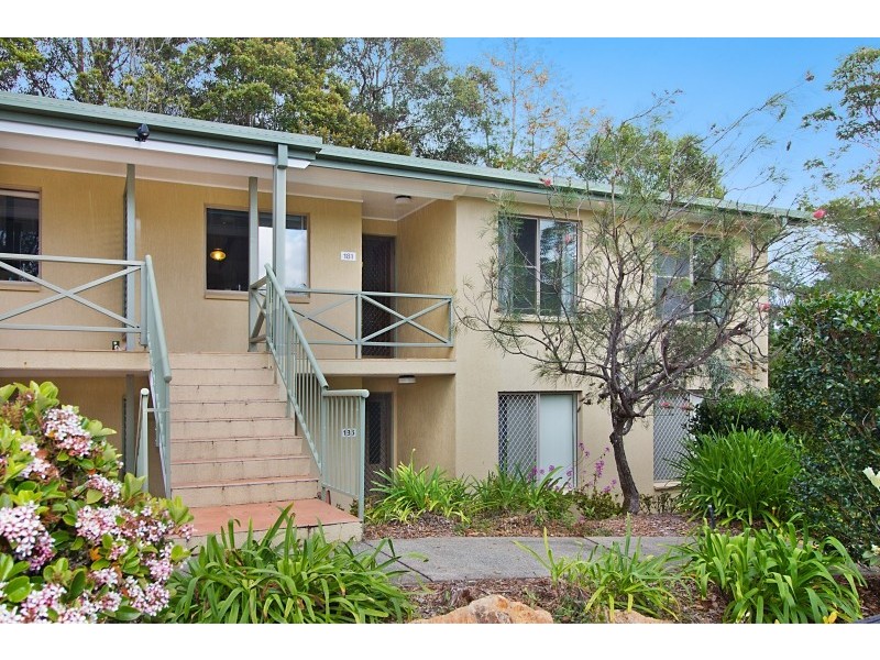 181/1 Treetops Boulevard, Ingram Place, Murwillumbah NSW 2484