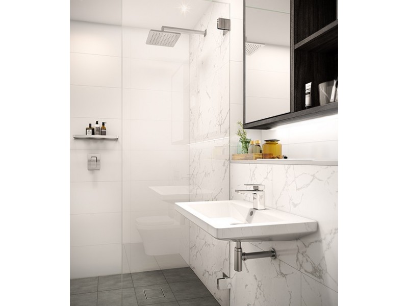 2506/1 Marshall Avenue, St Leonards NSW 2065