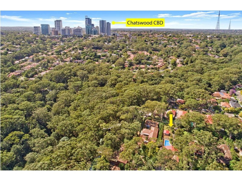 23A Greville Street, Chatswood NSW 2067
