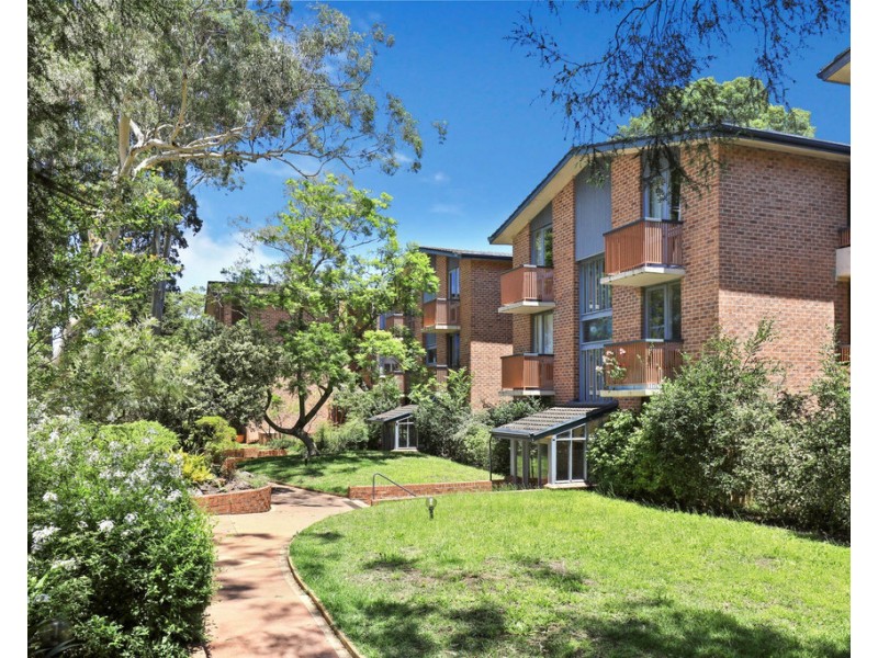 17/8-14 Bowen Street, Chatswood NSW 2067