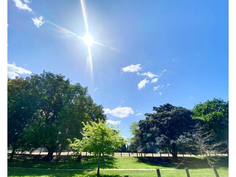 6 Ranelagh Crescent, Chatswood NSW 2067