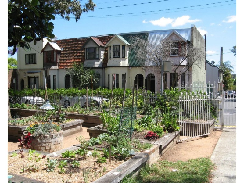 6 Longdown Street, Newtown NSW 2042