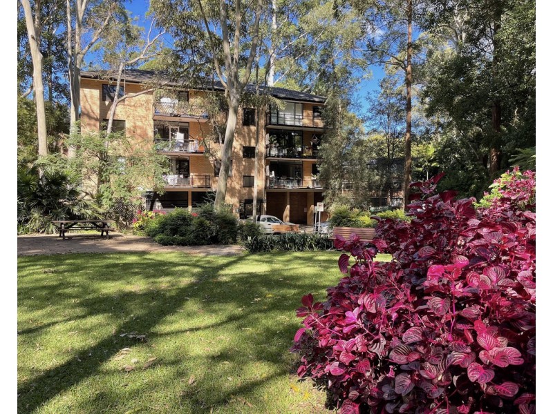 10/2 Peckham Avenue, Chatswood NSW 2067