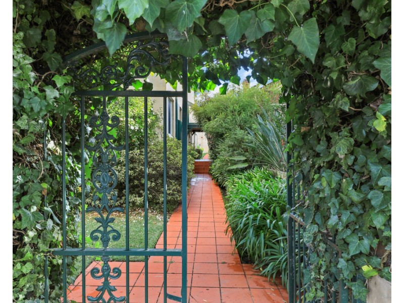 2/10 Toongarah Road, Waverton NSW 2060