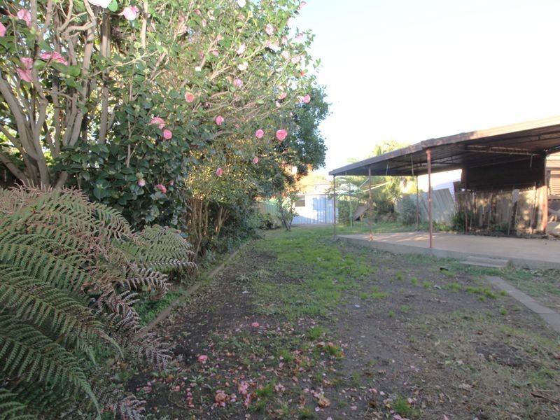 4 Harcourt Ave, Campsie NSW 2194