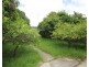 55 Berna St, Canterbury NSW 2193