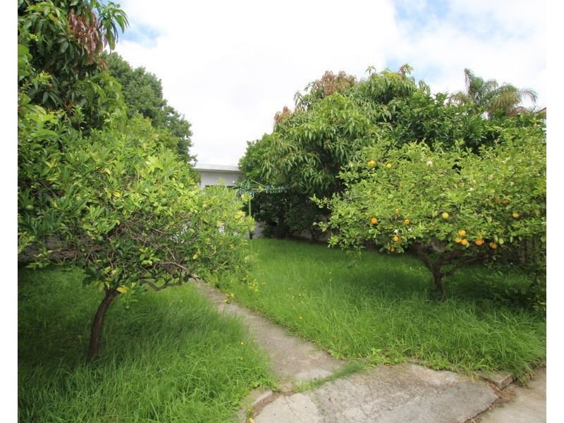 55 Berna St, Canterbury NSW 2193