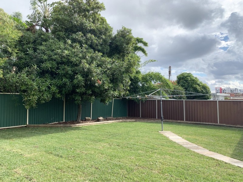 17 Robertson Street, Campsie NSW 2194