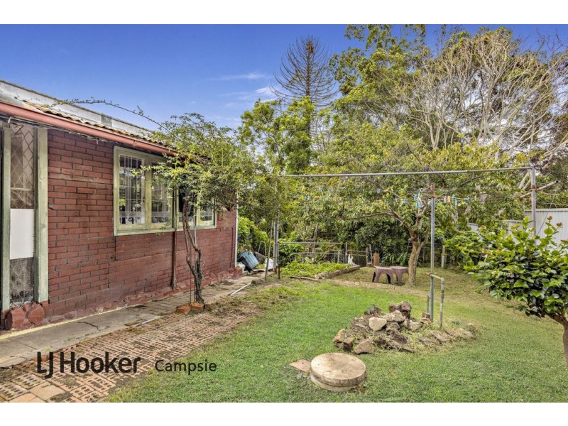 11 Byron Street, Campsie NSW 2194