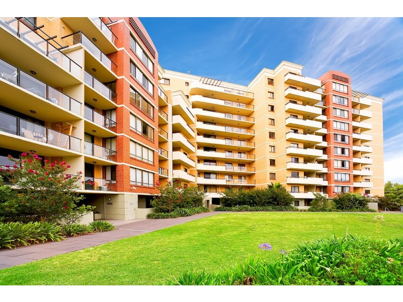 50/1 Clarence Street, Strathfield NSW 2135