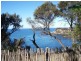 10 Karoo Crescent, Malua Bay NSW 2536