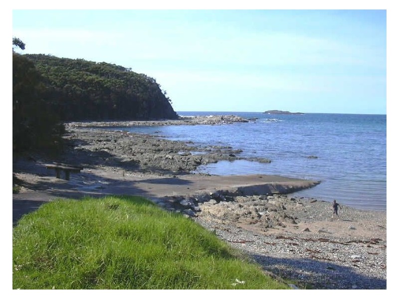 366 George Bass Drive, Lilli Pilli NSW 2536