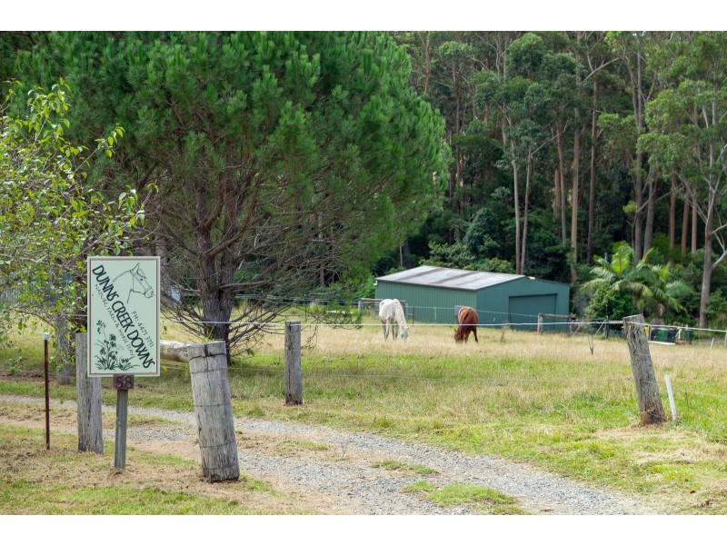 58 Ivy Place, Malua Bay NSW 2536