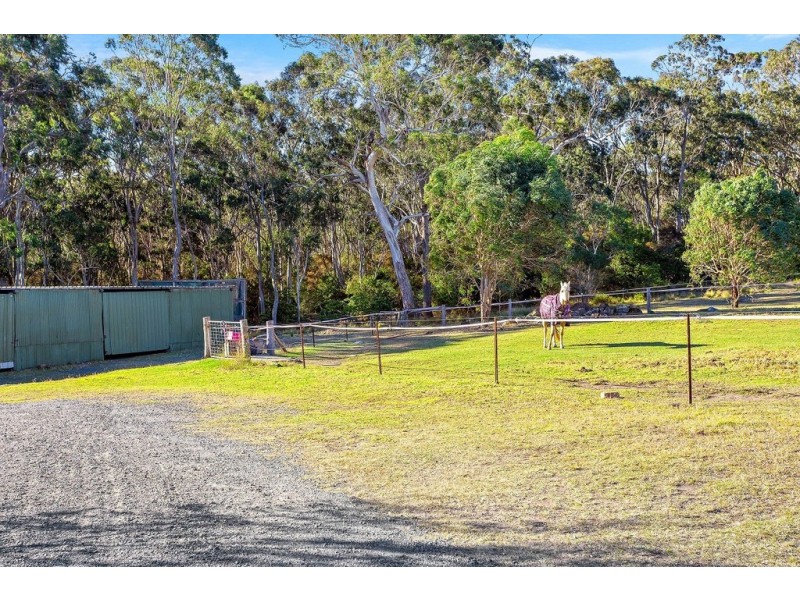 447 Bingie Road, Bingie NSW 2537