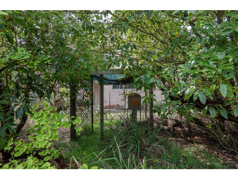 44 Point Parade, Congo NSW 2537