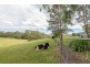 36 Eurobodalla Road, Bodalla NSW 2545