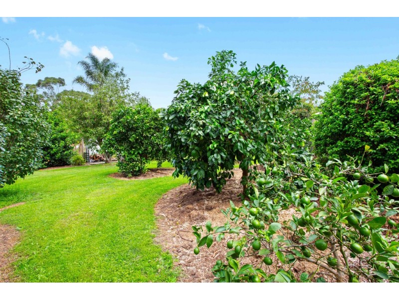 132 Princes Highway, Bodalla NSW 2545